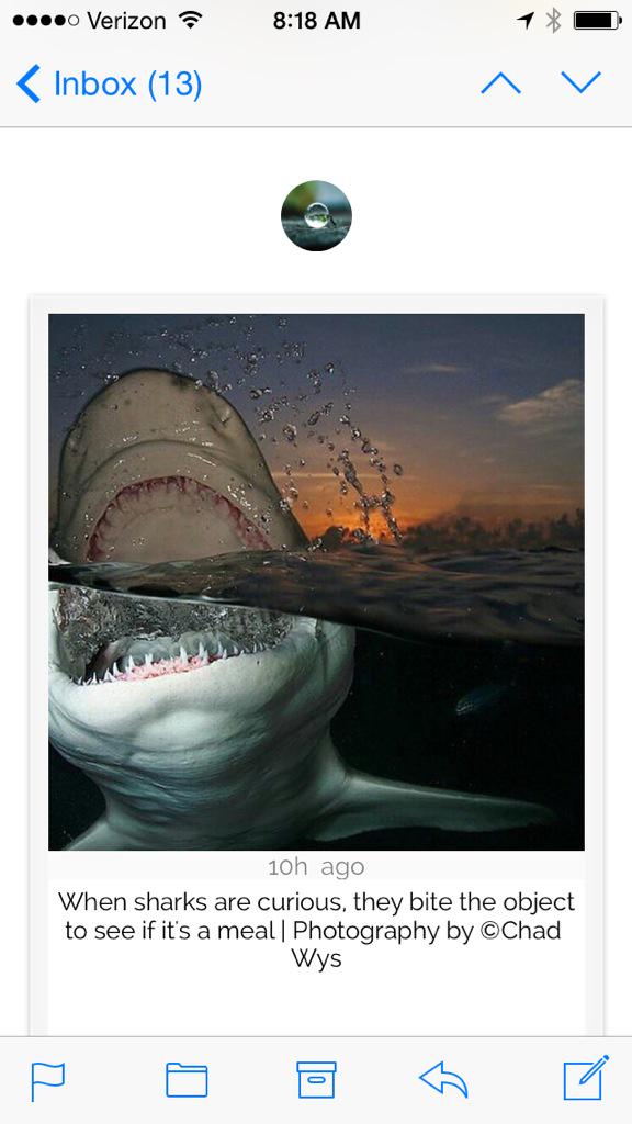 mypostmag's tweet photo. Killer #pics in the #photos issue today, many more where these came from at http://t.co/dRWcneD0dF!!! #PicOfTheWeek http://t.co/GJVPrRx3o1