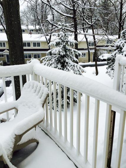 Nutrition4Lifee's tweet image. Happy #spring ❄️⛄️ #seconddayofspring