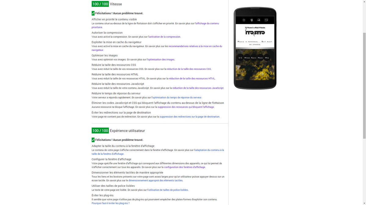 moise_sk's tweet image. Mon site djmosmo.com  passe à 100% de performances sur #googlespeedinsight #mobile et 95% sur #desktop !