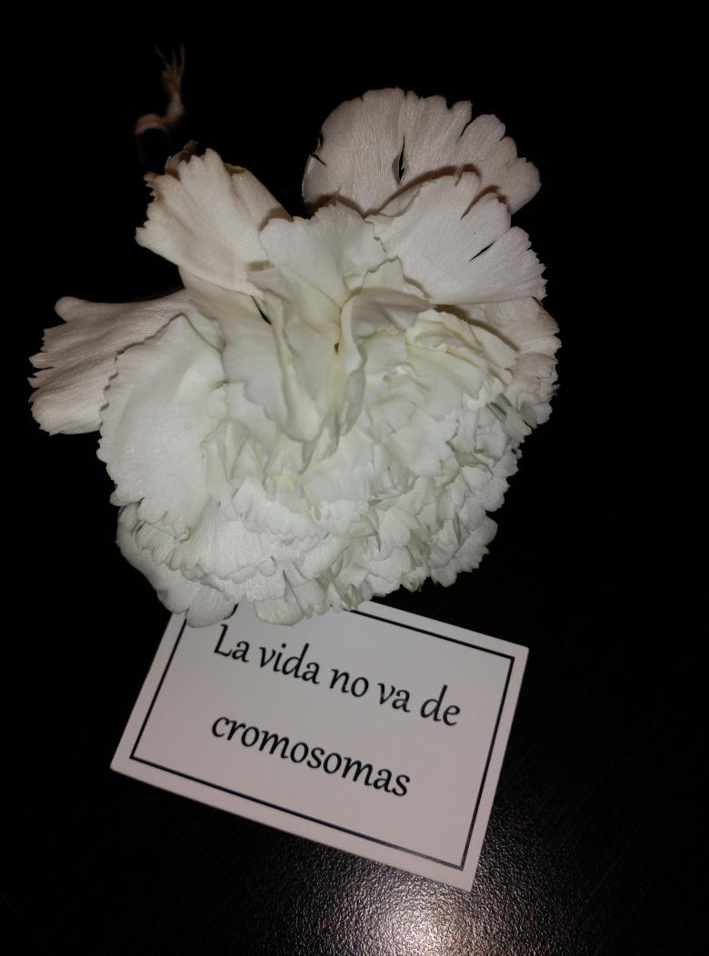 1efea10b307f451's tweet photo. #SindromeDown http://t.co/GNNNA4gXcn