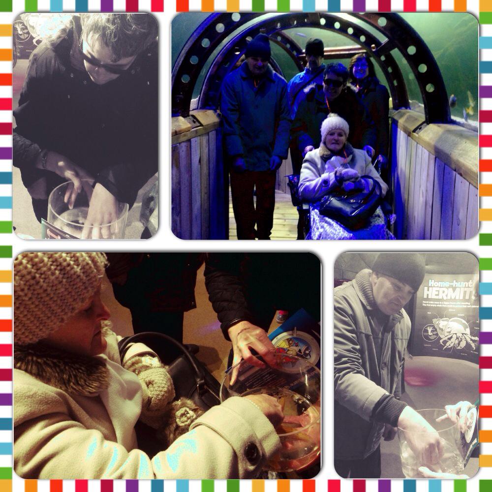 Hayley_Ann92's tweet photo. @FryersWalk- Brambles day at the #SealifeCentre #Hunstanton, absolutely freeeezing! But lot's of fun 😋 http://t.co/Gb2Dt7OuRy