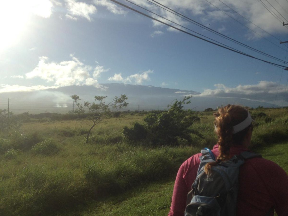 ADLAloha's tweet photo. A beautiful day for a #walk http://t.co/Nok7NPyiy2