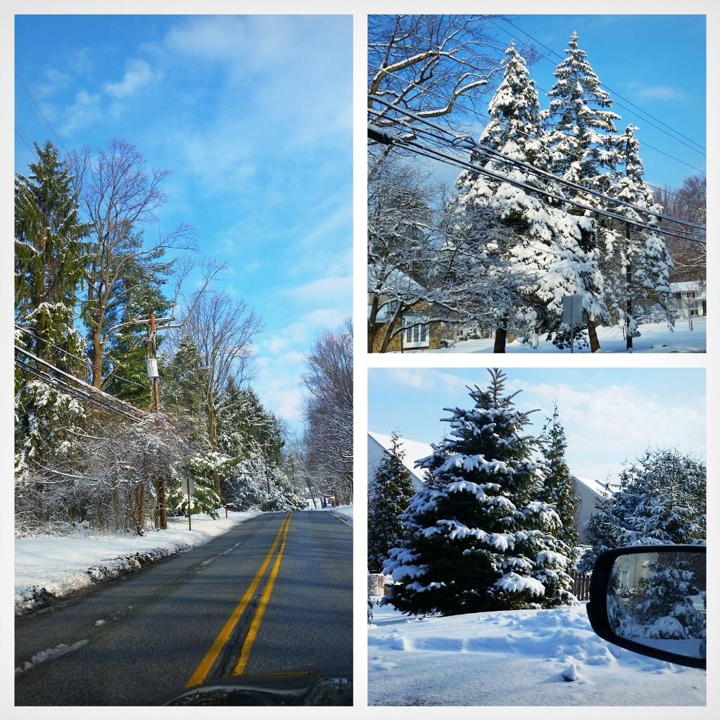 mathjaco4's tweet photo. Never ceases to amaze me..so pristine, the day after the storm! http://t.co/uqmUSSaHjE