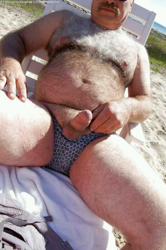 Enlace permanente de imagen incrustada