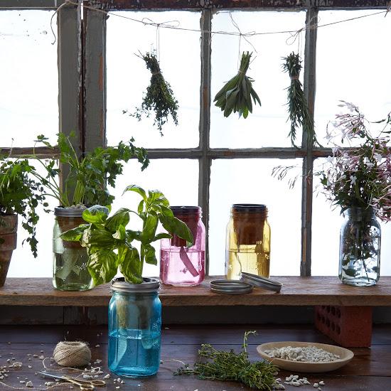 Food52 tweet media