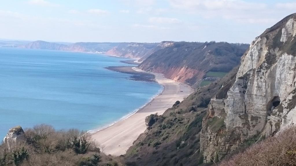 Ozymandiasdust's tweet image. Gorgeous , spring walk along #Hooken Undercliff.  Taken from #Beer Head. @DevonLife #devon
