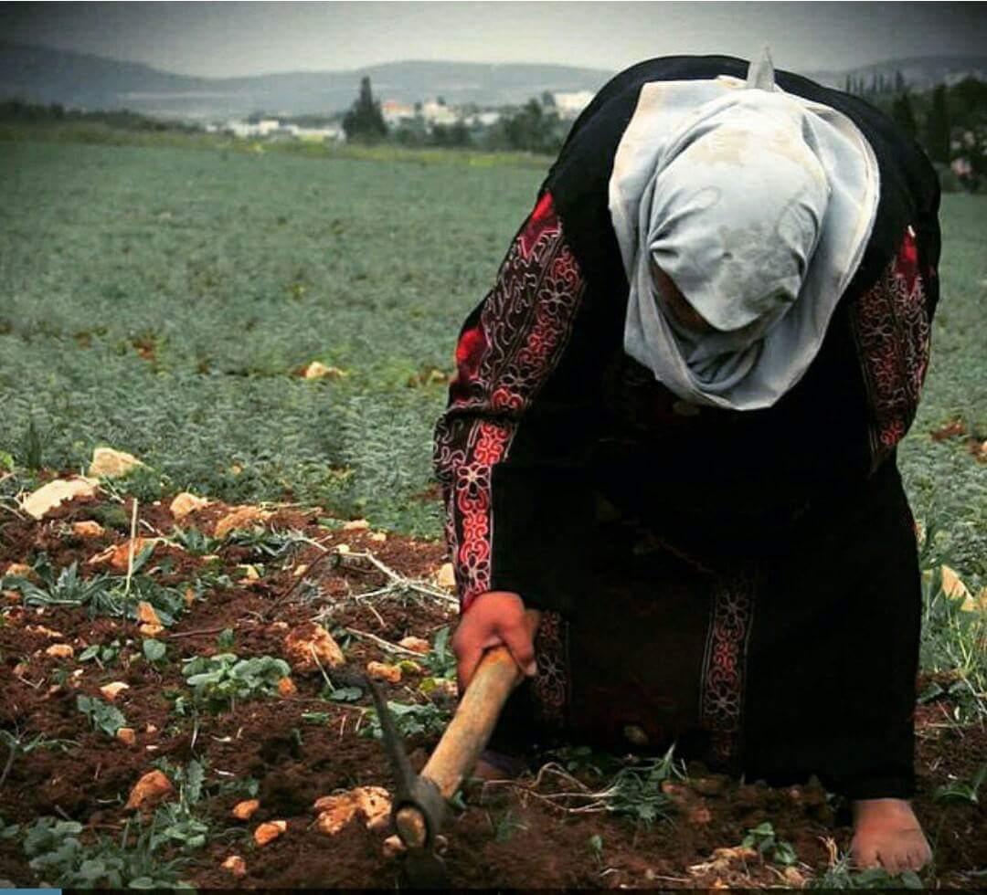 كل عام و امهاتنا بألف خير 💖💛