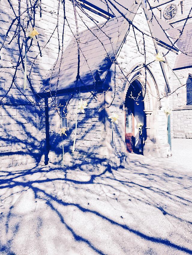 SandPWeddings's tweet image. Look at these beautiful daffodils dangling from a tree outside a wedding in Ballsbridge today! #wedding #simole #love