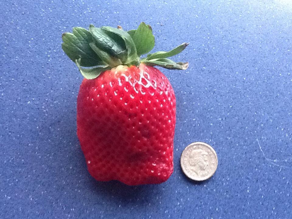 Gary Curtis tweet media