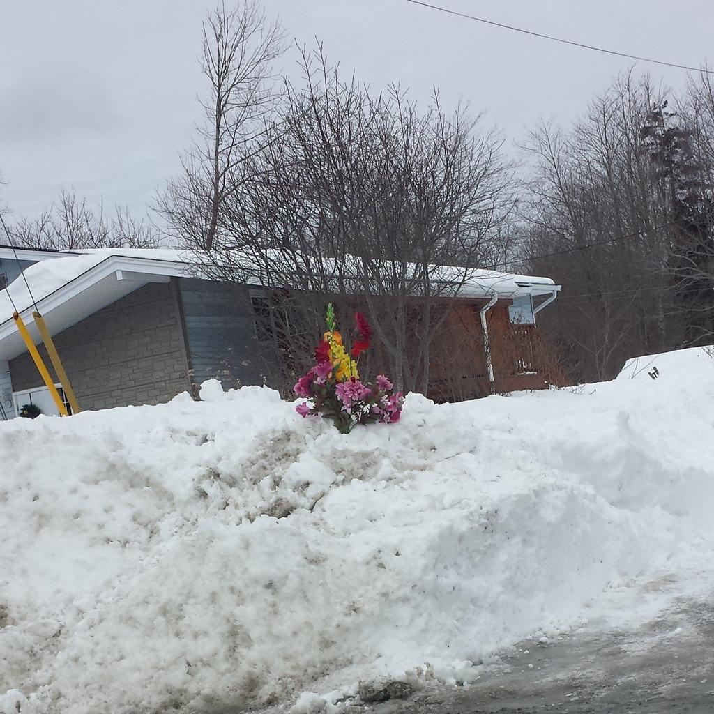 VizualyAdiktiv's tweet image. Someone has a sense of humour! #SpringHasNOTSprung