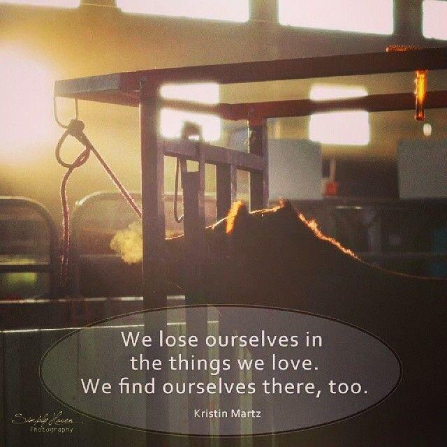 Livestock Quotes (@_26quotes) on Twitter photo 