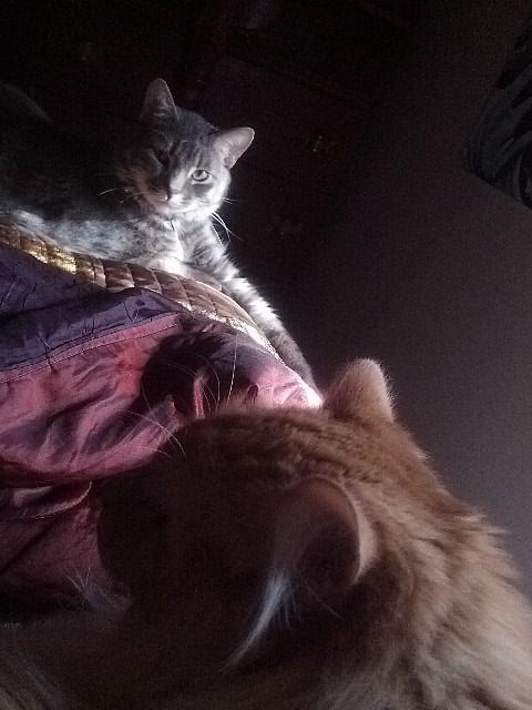 mediagirl80's tweet image. Saturday morning downtime before homework. #Supernatural  on TV #astronomyhomework later