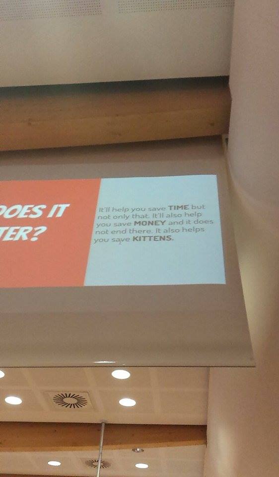 tlakomy's tweet image. Best part of #stxnext Tech Summit, Who doesn&apos;t love kittens?