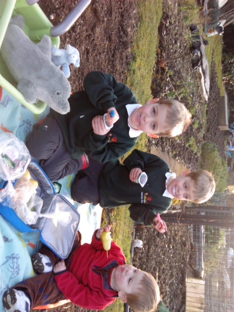 mummymusingz's tweet photo. Another weekend, another stuffed toy. Meet Dasher the Dolphin and Co. #doubleduty #wecandothis http://t.co/o1rhiv9aV6