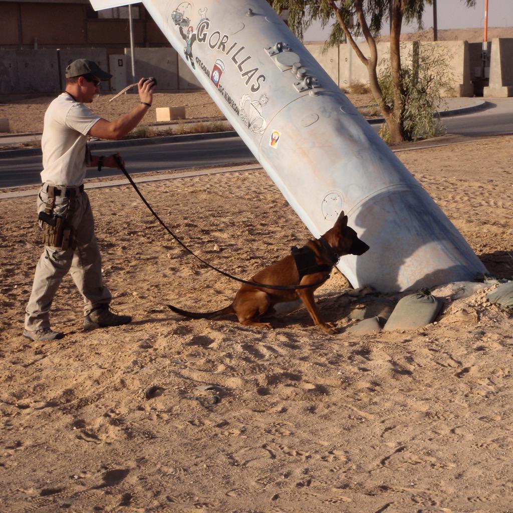 police_fitness's tweet photo. #SitStayPay Throwback to time at Al Asad Iraq. #k9saturday http://t.co/yeJ7zUwMun
