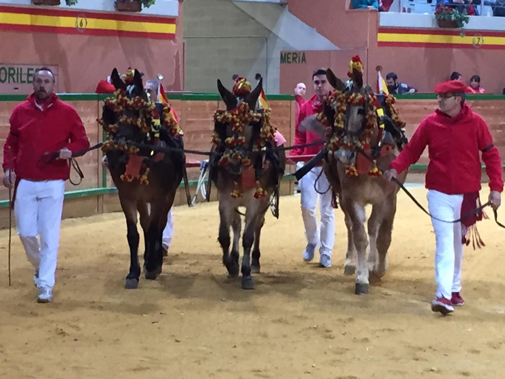 Equigarce 2010 tweet media