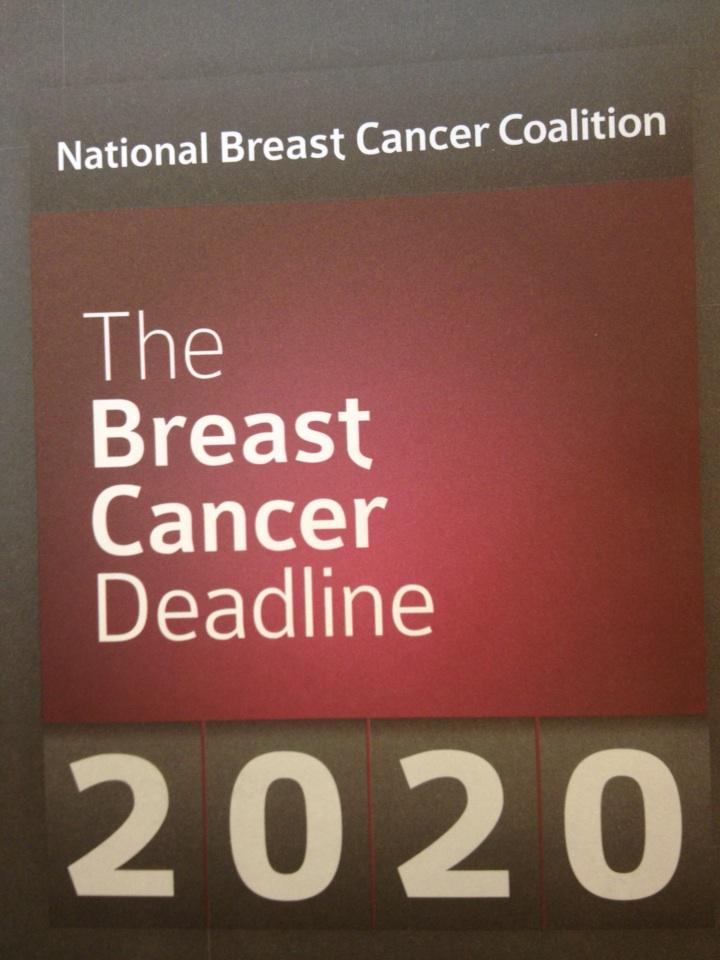 SenNanOrrock's tweet image. Smart #women @GABreastCancer 4 Medicaid expans. @bettergeorgia @GaBudget @GAProgressive @HuffPostWomen