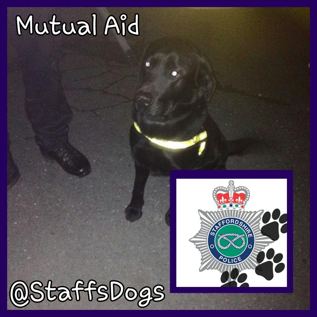 StaffsDogs's tweet photo. #pdCruz🐾provided assistance to @warkspolice @AthColesCops in drugs Op. 💊s found & 2 arrested. #TeamWork 🚔👍 http://t.co/FepgOUT8B2