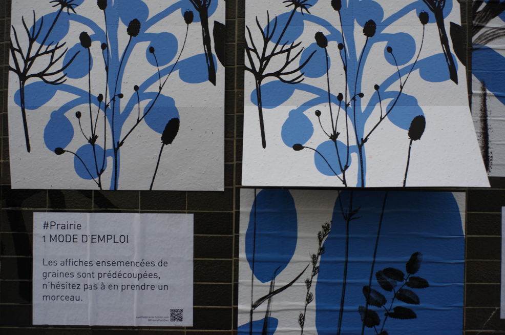 PrairiePartDieu's tweet photo. #PrairiePartDieu Mode d'emploi : le papier ensemencé est prédécoupé, servez-vous et Hop au jardin ! #LCD2015 http://t.co/WOtt7ewxjk