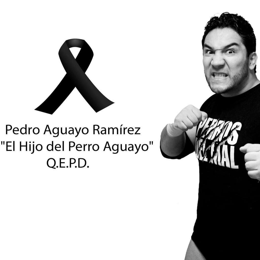 CintaDeOro's tweet photo. #RIPPerro http://t.co/GWZlRx4wE7