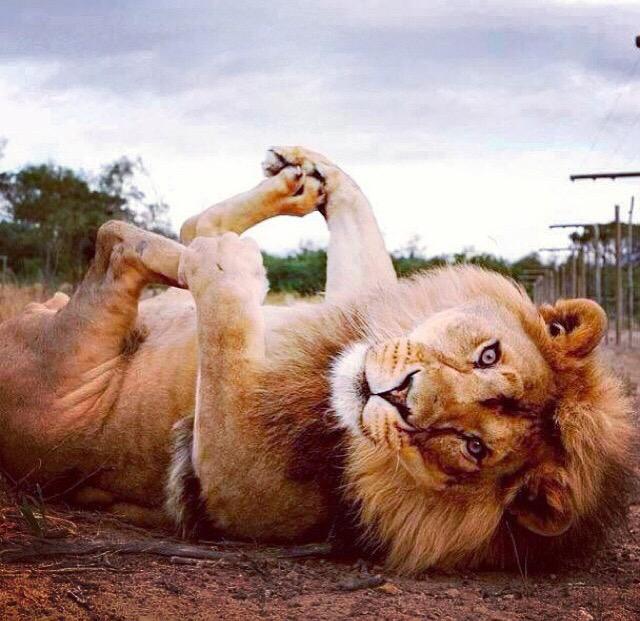 _Nature_Scenes's tweet image. Playtime 😊 #nature #naturescenes