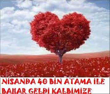 Denizyilmazese's tweet photo. NisandaAtansin 40BinOgretmen
#SelamOlsunBahara
@Ahmet_Davutoglu @memetsimsek
@ebsgenelbaskani @eskoca26 @yigitbulutt http://t.co/e33qHQf5G0