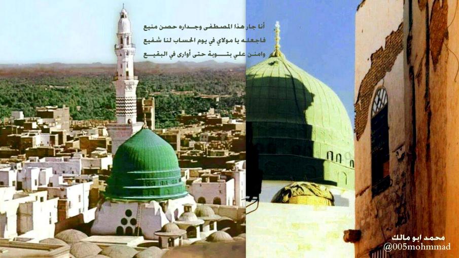 محمد ابو مالك Ⓜ tweet media