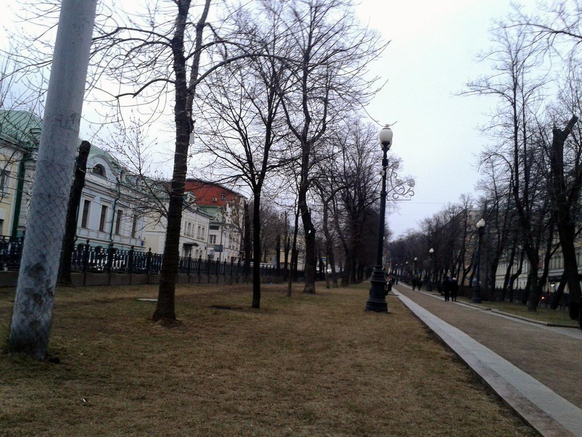 moonywait's tweet image. 