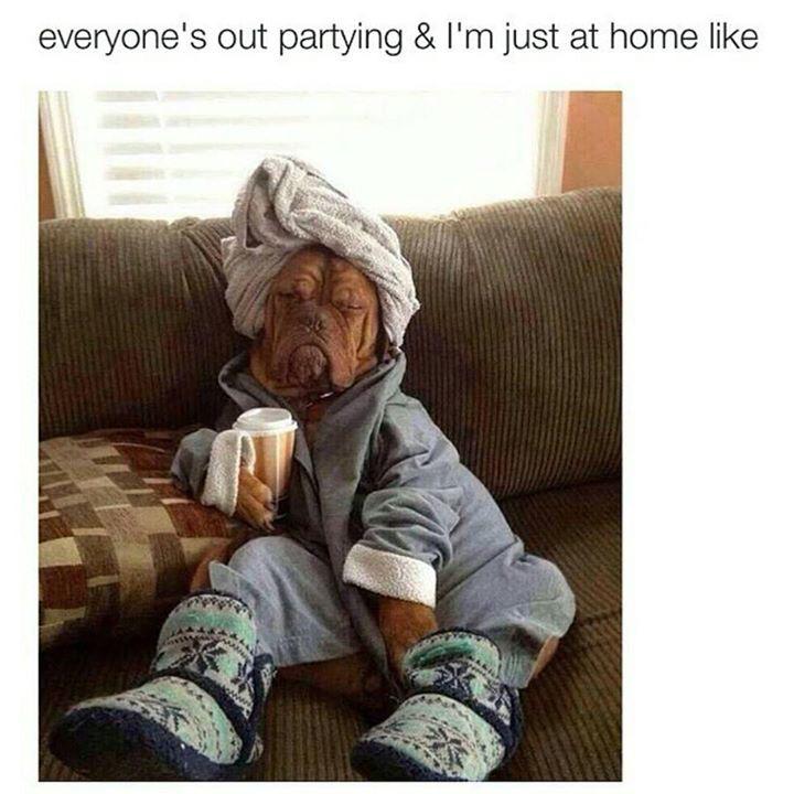 Kate Cleary tweet media