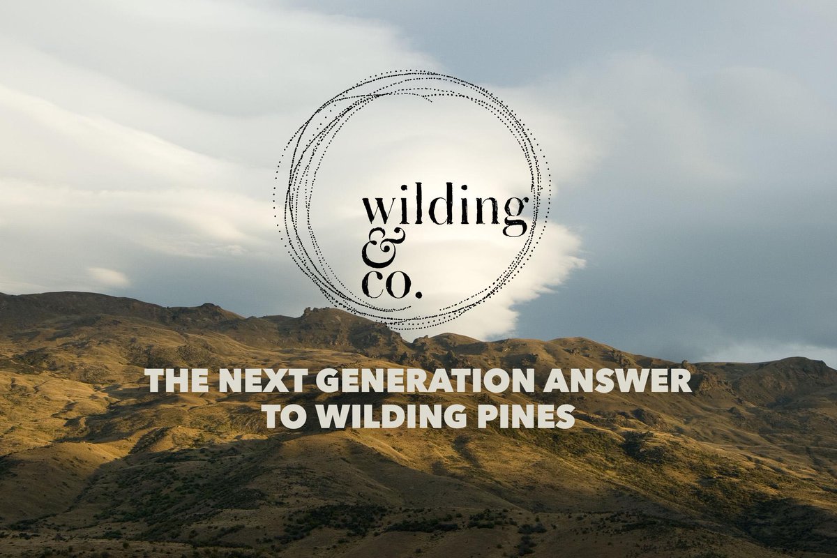 WildingCo's tweet photo. Last call! Vote 4 @Wilding, at @ContactEnergy People's Choice awards (closes tonight) http://t.co/XdxyuBlwSV http://t.co/QzT2CtlY3d