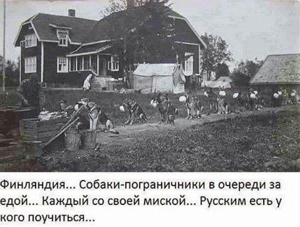 Идея Азарова нашла воплощение в России: на фестивале уличной еды посетителей кормили с лопат. ФОТО+ ВИДЕО+ ФОТОжабы - Цензор.НЕТ 9759