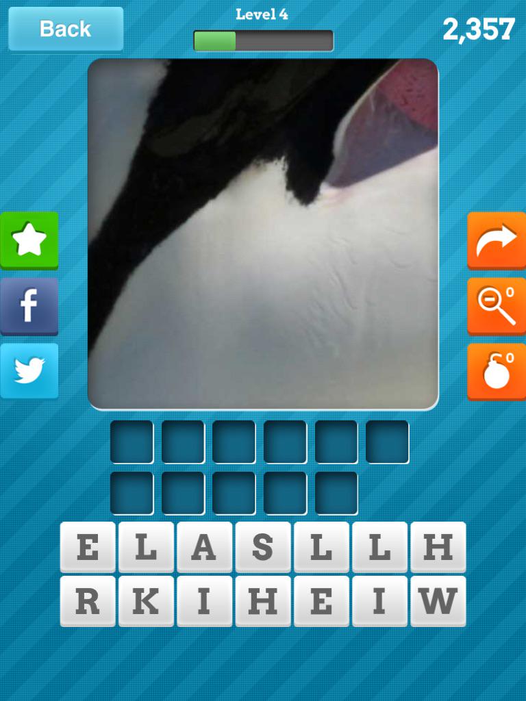 cherisplexus's tweet image. Can anyone guess what this close up animal?