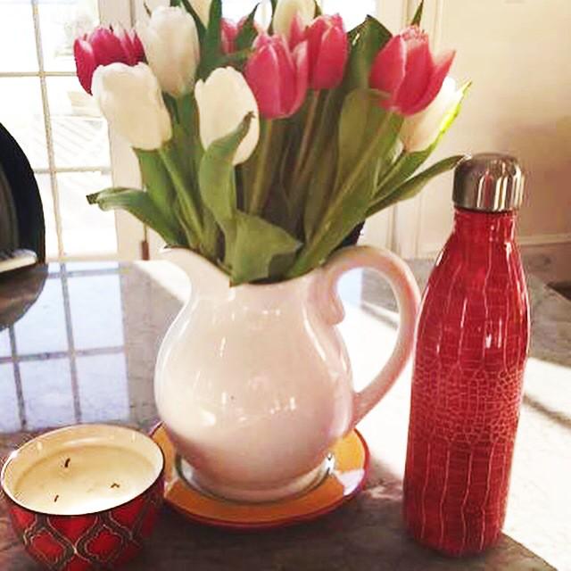 thedottedi's tweet photo. There may be snow on the ground, but spring has arrived at The Dotted i! http://t.co/0pXhV1TgTe
