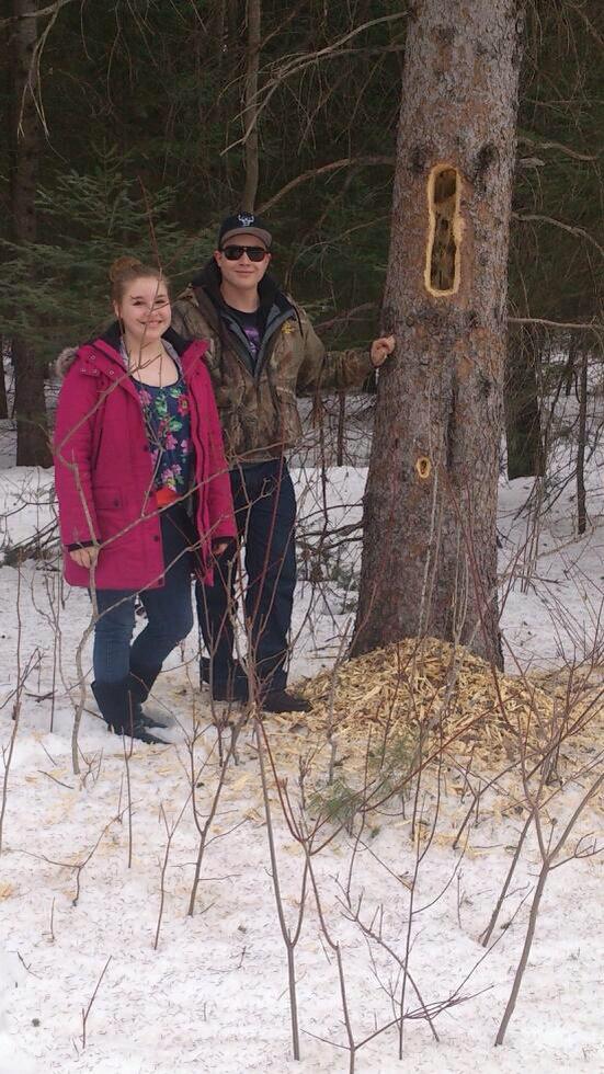 94_clarke's tweet photo. Large Pileated cavity found, must have been pretty hungry. #NRT255 #woodpecker http://t.co/Ad445g2uJR