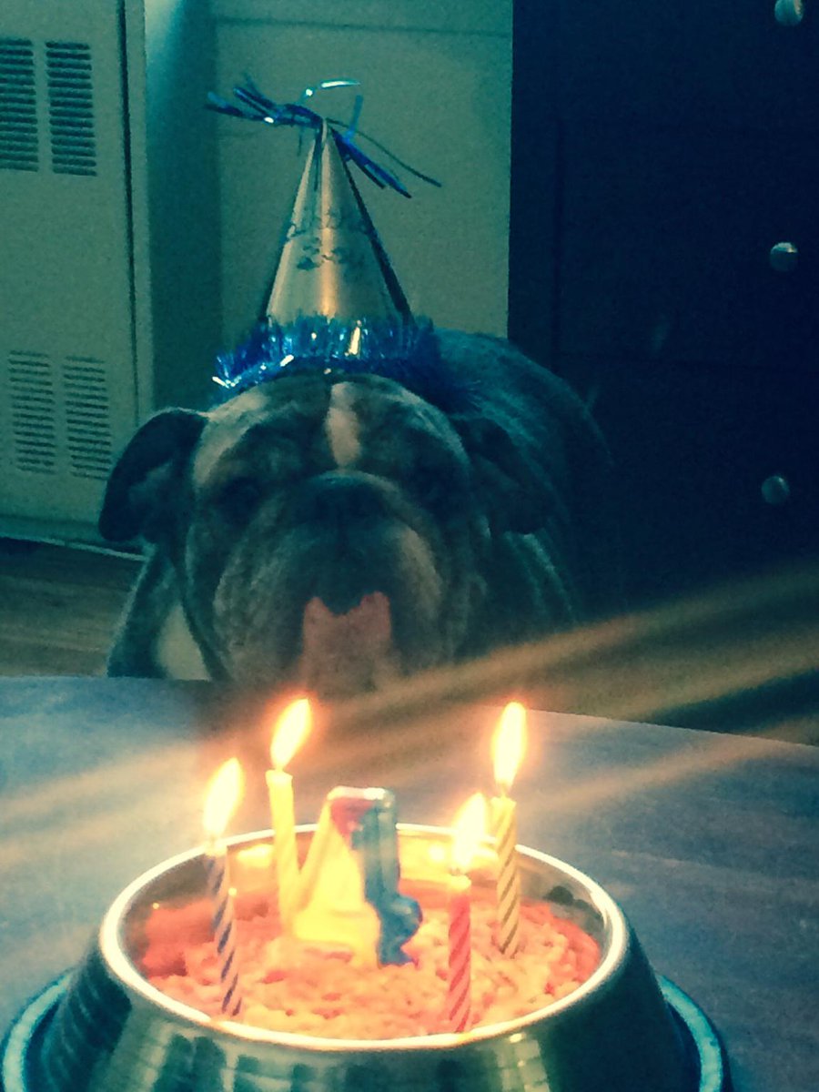 KBKlein's tweet image. #vern