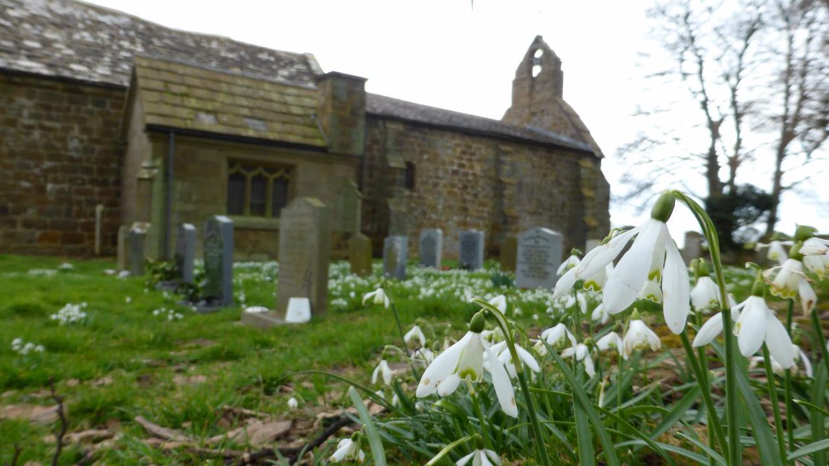 Spring time at St Mary's Church, Over Silton
#NorthYorkMoors #HambletonHills #OverSilton