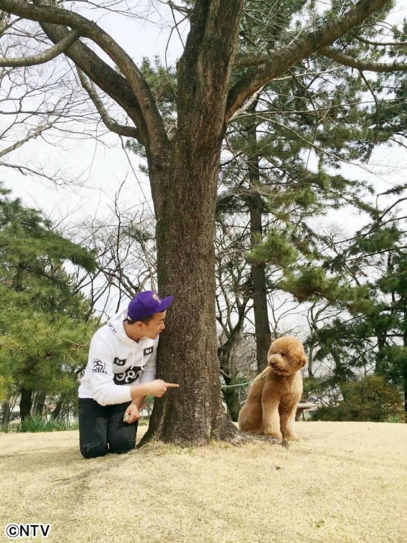 ミーナ セカンドラブ最終回の亀と深キョンのハンブルグ再会の撮影場所って群馬のロックハート城だって 驚 Zipのププちゃんも来たし 近いのにまだ行っていない 今度行こう そして亀と深キョンのラストダンスは横須賀三笠公園噴水広場だって Http ミーナ セカンドラブ最終回の亀と深キョンのハンブルグ再会の撮影場所って群馬のロックハート城だって 驚 Zipのププちゃんも来たし 近いのにまだ行っていない 今度行こう そして亀と深キョンのラストダンスは横須賀三笠公園噴水広場だって Http