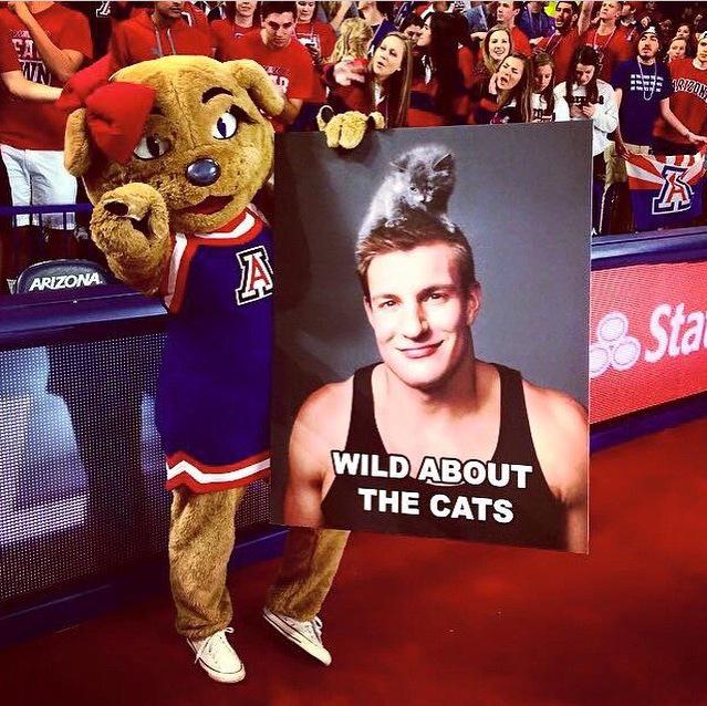 RobGronkowski's tweet image. #BearDown Arizona #Sweet16
