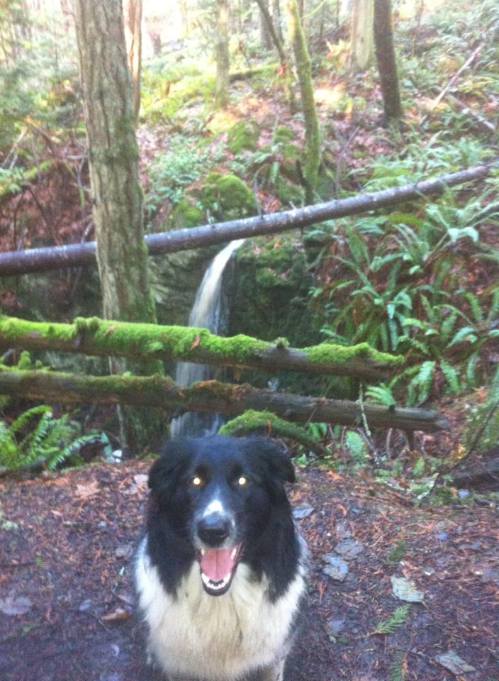 RocketSock69's tweet photo. The Duke of the Rain Forest! http://t.co/2eUdpGZ2Eb