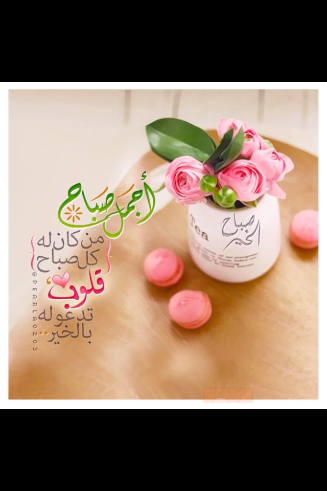 m3ly_shrahh tweet picture