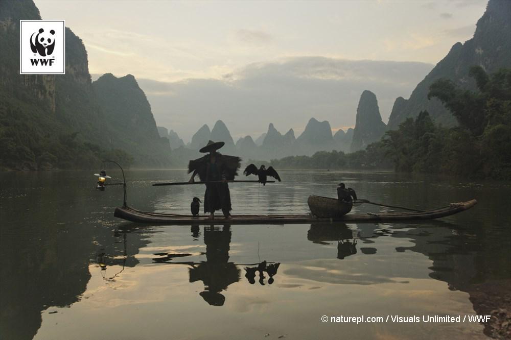 WWF's tweet image. Because we’re all connected by water. Happy #WorldWaterDay! panda.org/waterday