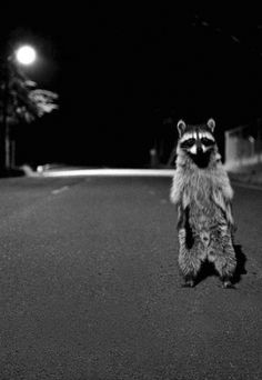 INDEVSTRATS tweet picture