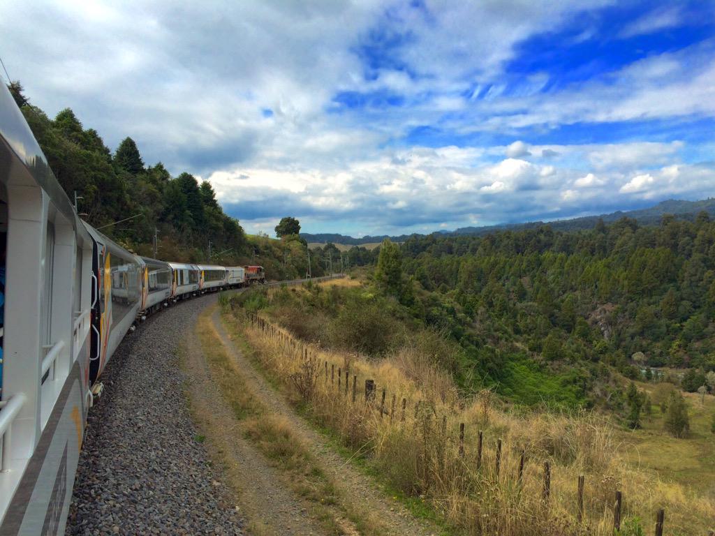 gmsharmanz's tweet image. On an 11 hour train journey through the heart of #NewZealand. #kiwirail #northernexplorer #travel #train