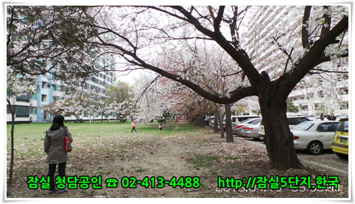 #잠실5단지 전경 사진입니다. #잠실아파트 에 대한 모든 뉴스를 십속하게 배달하는 잠실아파트 뉴스속보 포털을 준비하고 있습니다.