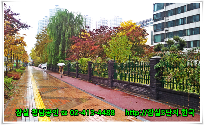 #잠실역 5번출구 ~ 잠실중앙상가 사이  #잠실주공5단지 #잠실5단지 가을단풍 사진입니다. 잠실아파트에 대한 모든 뉴스를 신속하게 배달하는 잠실아파트 뉴스속보 포털을 준비하고 있습니다.