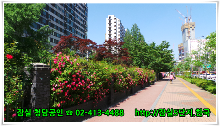 #잠실주공5단지 #잠실5단지 단지는 잠실역을 대각선으로 하여 롯데어월드타워에 접하여 있습니다. 잠실아파트에 대한 모든 뉴스를 신속하게 배달하는 잠실아파트 뉴스속보 포털을 준비하고 있습니다.