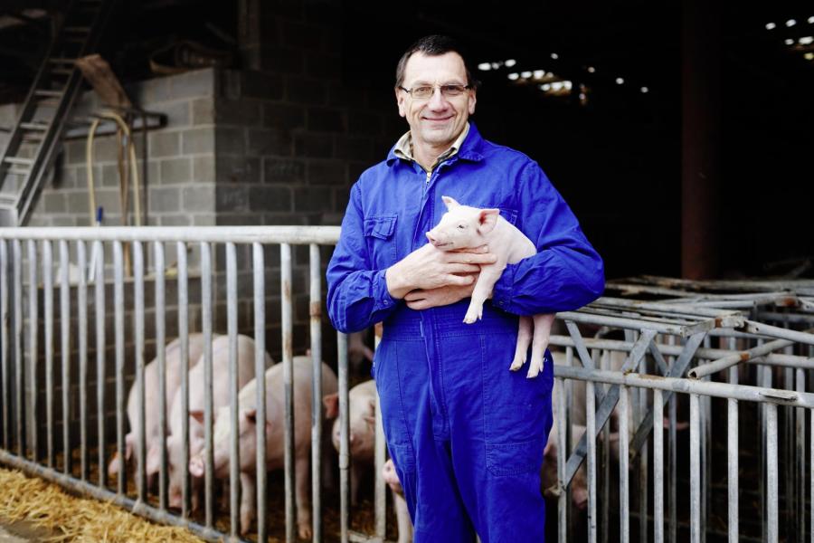 Tierwohl: Supermärkte dürfen Schweine-Cents kassieren on.welt.de/1xp93yD