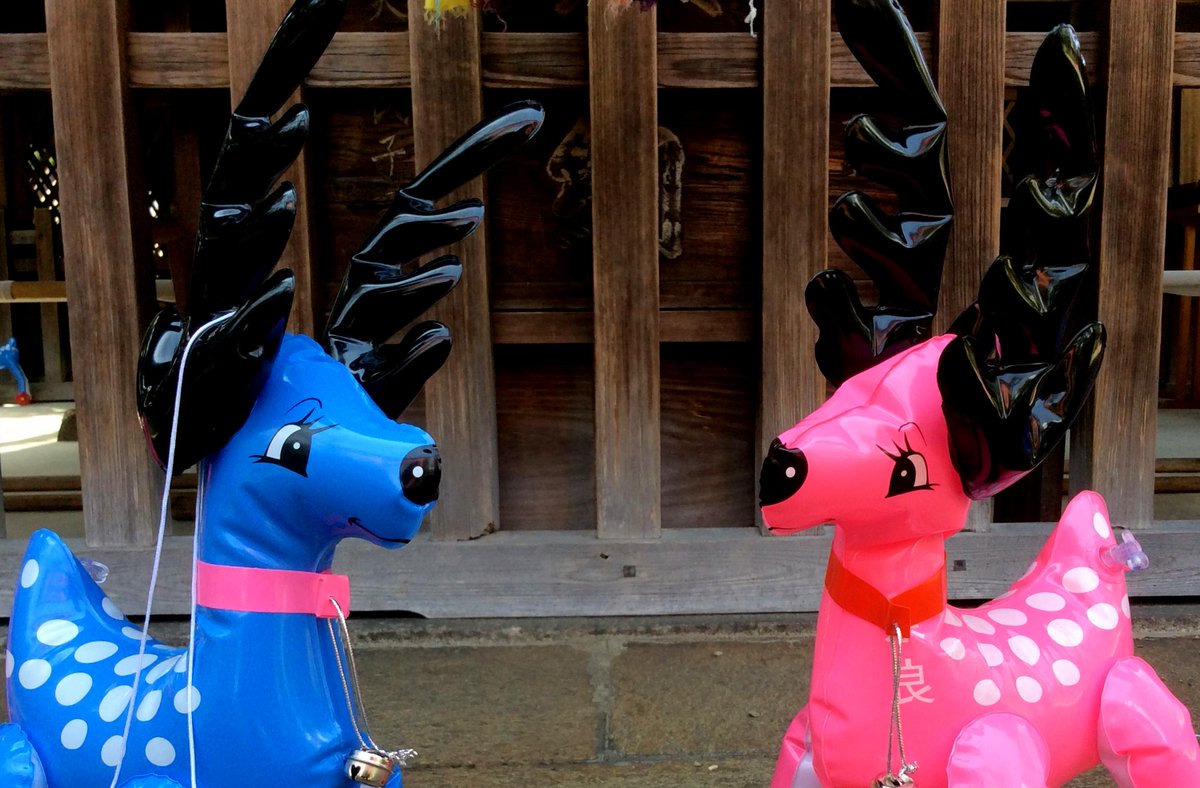 ビニール鹿 Twitter Search