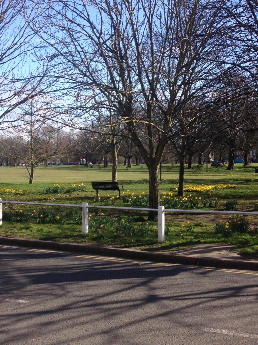 Charlotte's Group tweet media