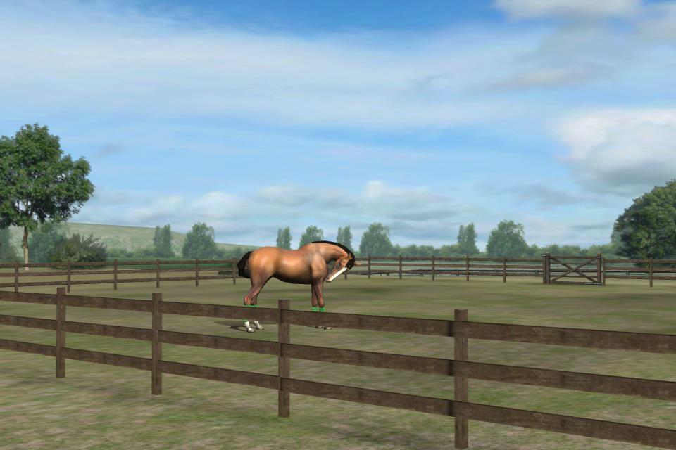Check out my photo! Add me, ESJC. #MyHorse  nmgam.es/horse_twitter